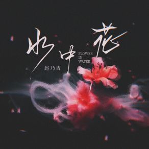 Download track 水中花 (伴奏) 赵乃吉