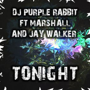 Download track Tonight (Instrumental Mix) DJ Purple Rabbit