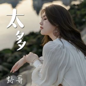 Download track 太多 (伴奏) 野哥