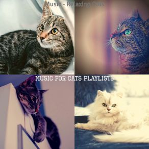 Download track Nurturing (Cute Kittens) Music For Cats Playlists