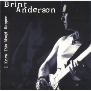 Download track You Shoulda' Seen This Place Brint Anderson