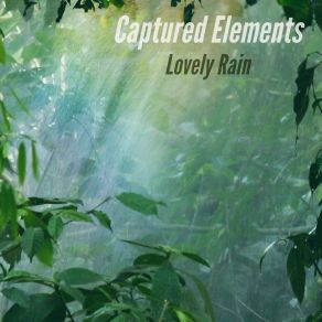 Download track Lovely Rain 5, Loopable Captured Elements