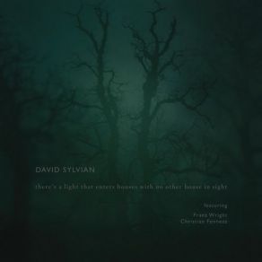 Download track There's A Light That Enters Houses With No Other House In Sight David Sylvian