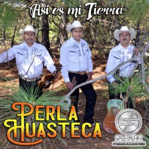 Download track El Cielito Lindo Perla Huasteca