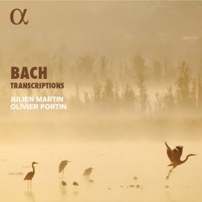 Download track 15. Violin Sonata In C Minor, BWV 1017 I. Siciliano. Largo (Transcr. For Recorder And Harpsichord By Julien Martin And Olivier Fortin) Johann Sebastian Bach