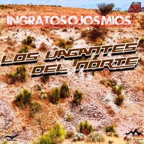 Download track Barranquillero Los Vagantes Del Norte