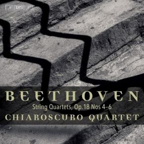 Download track 8. String Quartet No. 5 In A Major Op. 18 No. 5 - IV. Allegro Ludwig Van Beethoven