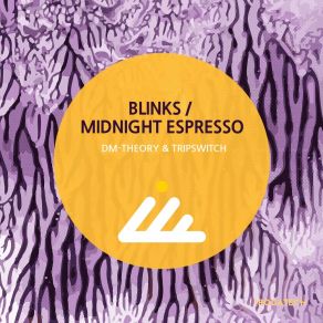 Download track Midnight Espresso (Original Mix) DM-Theory