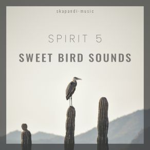 Download track Morning Bird Symphony Spirit 5