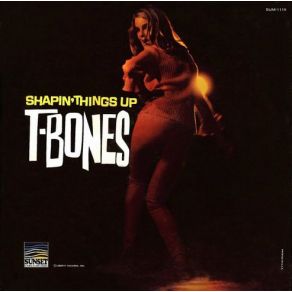 Download track Shapin' Things Up The T - Bones