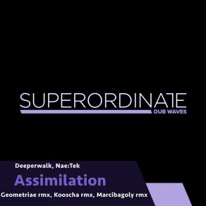 Download track Assimilation (Marcibagoly Rmx) DeeperwalkMarcibagoly