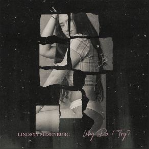 Download track Why Do I Try Lindsxy Mesenburg