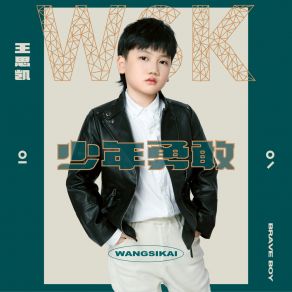 Download track 少年勇敢 王思凯