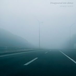 Download track Disappeared Into Silence SKVRLET OCEVN