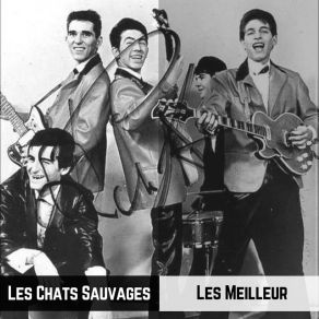 Download track Laisse-Moi Rire Les Chats Sauvages