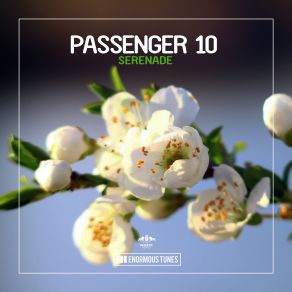 Download track Serenade (Original Club Mix) Passenger 10