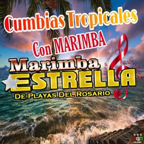 Download track No Le Hace Que Le Aunque Marimba Estrellas De Playa Del Rosario