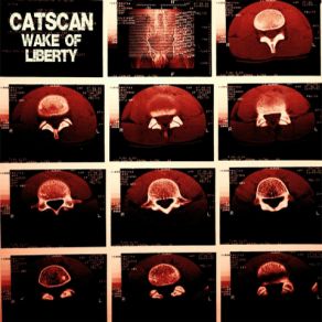 Download track Perception Of Fear CatscanCounterfeit