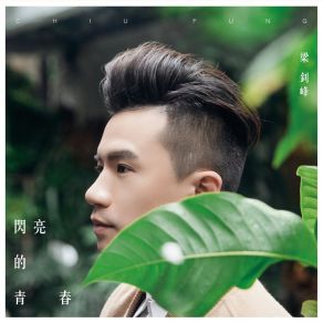 Download track No Flowers Blooming In Winter Leung Chiu Fung