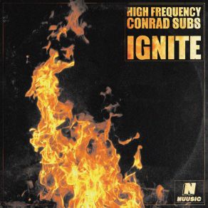 Download track In Check (High Frequency Remix) High Frequency (UK)High Frequency