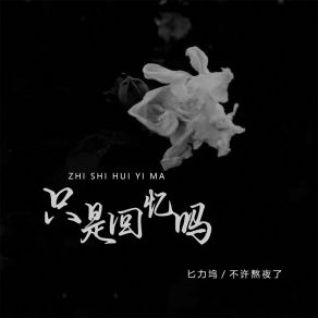 Download track 只是回忆吗 (伴奏) 不许熬夜了