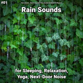 Download track Dreamlike Nature Sounds Rain Sounds By Maddison Negassi