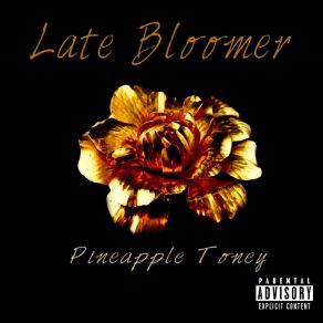 Download track World Spin Pineapple Tony