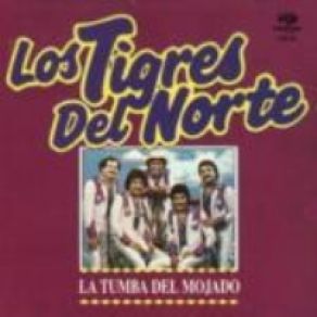 Download track La Tumba Del Mojado Los Tigres Del Norte