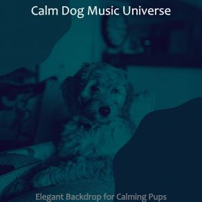 Download track Wicked Moods For Relaxing Dogs Calm Dog