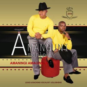 Download track Kwamakhelwane Amanguni Amahle