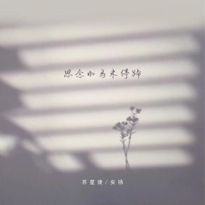 Download track 思念如马未停蹄 苏星婕