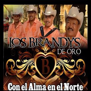 Download track Pa' La Raza Del Barrio Los Brandys