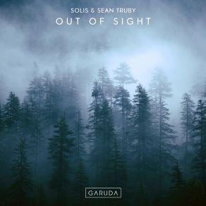 Download track Out Of Sight (Extended Mix) Solis & Sean Truby