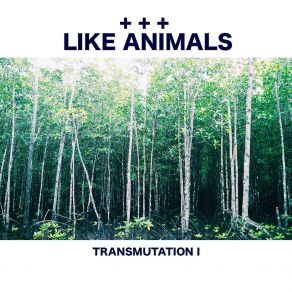 Download track Clouds And Dirt (Instrumental) Like Animals