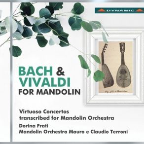 Download track 3. Concerto In D Minor For Two Violins Strings And Basso Continuo BWV 1043: III. Allegro Dorina Frati, Mandolin Orchestra Mauro E Claudio Terroni