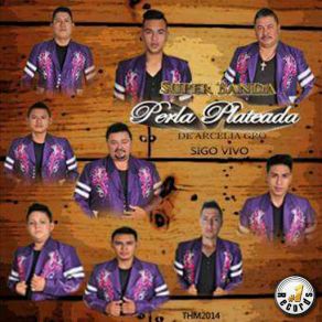 Download track El Chuck Norris Super Banda Perla Plateada