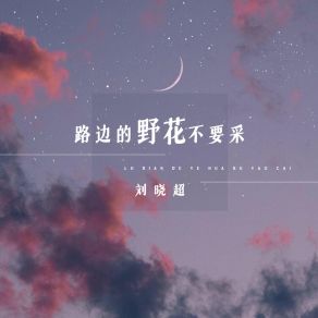 Download track 路边的野花不要采 刘晓超