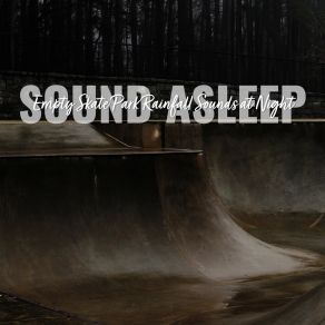 Download track Empty Skate Park Rainfall Sounds At Night, Pt. 3 Elijah Wagner