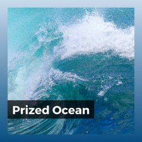 Download track Relaxing Ocean Sounds, Pt. 17 Relaxing Sea Sounds