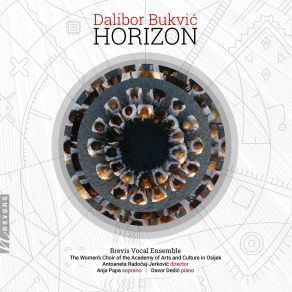 Download track Horizon: V. Songs Of Reminiscence Brevis Vocal Ensemble