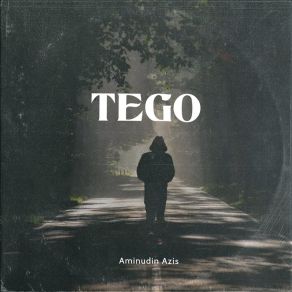 Download track Tego Aminudin Azis