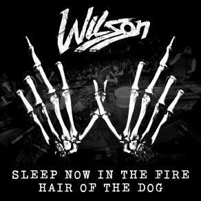 Download track Sleep Now In The Fire Wilson