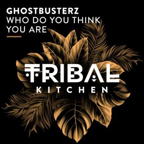 Download track Who Do You Think You Are Ghostbusterz