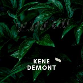 Download track Soft Harmony KENE DEMONT