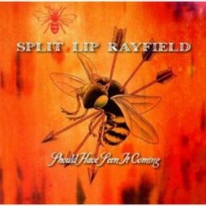 Download track C'Mon Get Your Gun Split Lip Rayfield