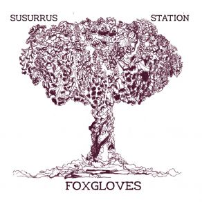 Download track Foxgloves Susurrus Station