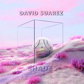 Download track Shades (Extended Mix) David Suarez