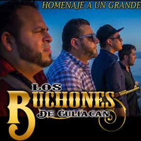 Download track Homenaje A Un Grande Los Buchones De Culiacan