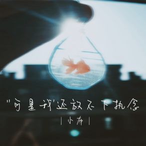 Download track 可是我还放不下执念（0.5x）remix 小布