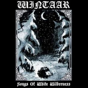 Download track Wounds Of The Sun Wintaar